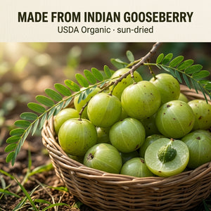 Asuka Organic Amla Powder