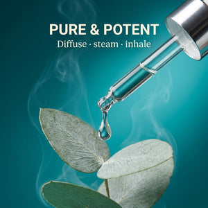 Ways to use Asuka eucalyptus essential oil — diffuse, dilute for massage, or inhale